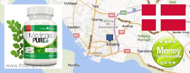 Where to Buy Moringa Capsules online Esbjerg, Denmark