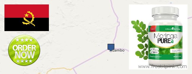 Onde Comprar Moringa Capsules on-line Huambo, Angola