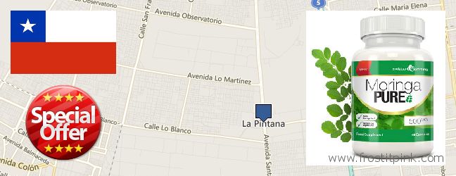 Where to Buy Moringa Capsules online La Pintana, Chile