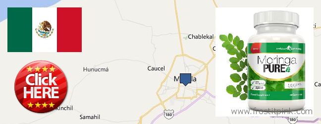 Where Can I Buy Moringa Capsules online Merida, Mexico