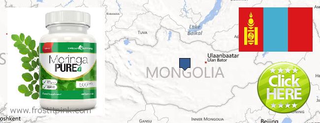 Where to Buy Moringa Capsules online Mongolia