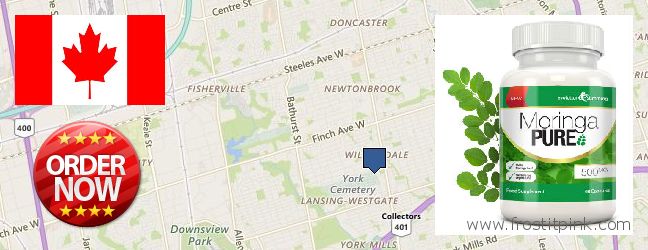 Où Acheter Moringa Capsules en ligne North York, Canada