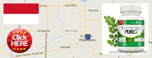 Purchase Moringa Capsules online Pekanbaru, Indonesia Where Can I Purchase Moringa Capsules online Pekanbaru, Indonesia