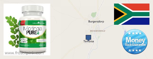 Waar te koop Moringa Capsules online Tembisa, South Africa