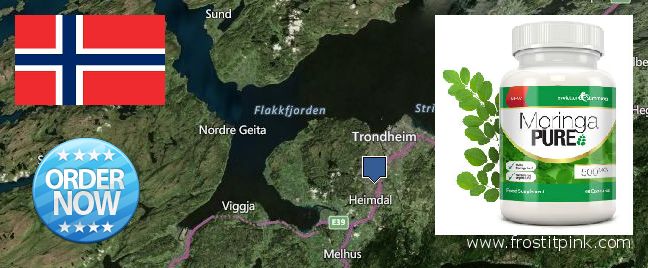 Jälleenmyyjät Moringa Capsules verkossa Trondheim, Norway