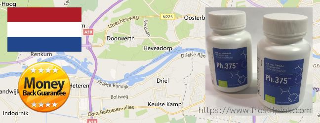 Waar te koop Phen375 online Arnhem, Netherlands