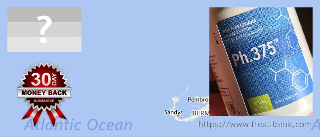 Where to Buy Phen375 online Bermuda