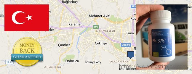 Nereden Alınır Phen375 çevrimiçi Bursa, Turkey