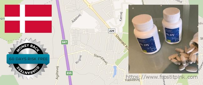 Hvor kan jeg købe Phen375 online Horsholm, Denmark
