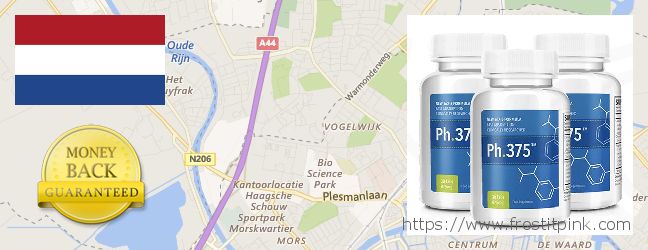 Where to Buy Phen375 online Leiden, Netherlands