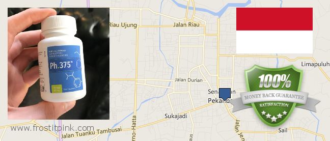 Best Place to Buy Phen375 online Pekanbaru, Indonesia