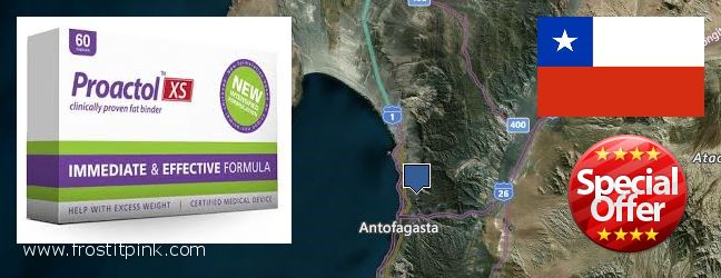 Where Can I Buy Proactol Plus online Antofagasta, Chile