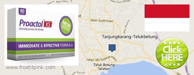 Where to Buy Proactol Plus online Bandar Lampung, Indonesia