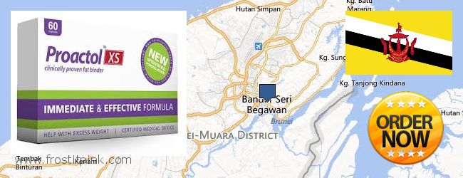 Where Can I Buy Proactol Plus online Bandar Seri Begawan, Brunei