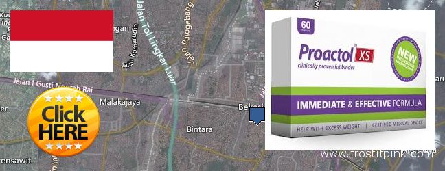Buy Proactol Plus online Bekasi, Indonesia