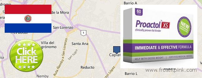 Where to Buy Proactol Plus online Capiata, Paraguay