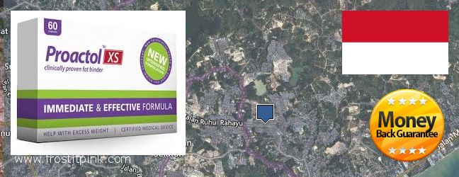 Where to Buy Proactol Plus online City of Balikpapan, Indonesia