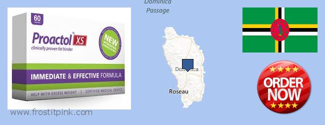 Where to Buy Proactol Plus online Dominica