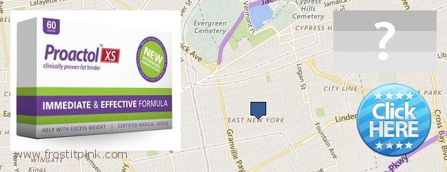 Buy Proactol Plus online East New York, USA Where to Purchase Proactol Plus online East New York, USA