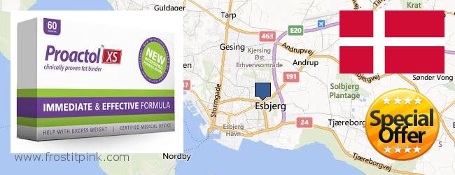 Where to Buy Proactol Plus online Esbjerg, Denmark