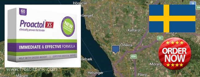 Where to Buy Proactol Plus online Helsingborg, Sweden