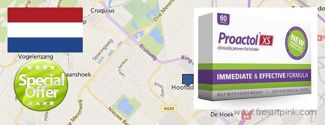 Where to Buy Proactol Plus online Hoofddorp, Netherlands