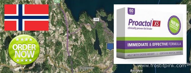 Where to Buy Proactol Plus online Horten, Norway