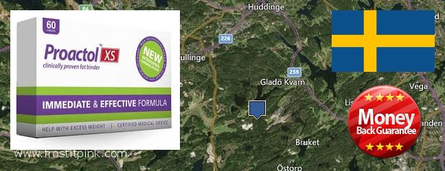 Where to Buy Proactol Plus online Huddinge, Sweden