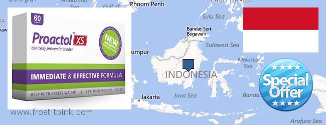 Purchase Proactol Plus online Indonesia