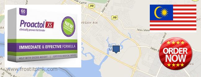 Where to Buy Proactol Plus online Kampung Pasir Gudang Baru, Malaysia