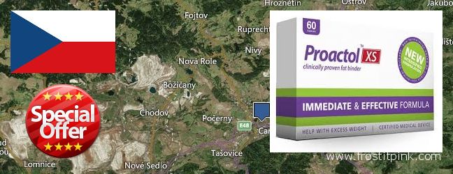Where Can You Buy Proactol Plus online Karlovy Vary, Czech Republic