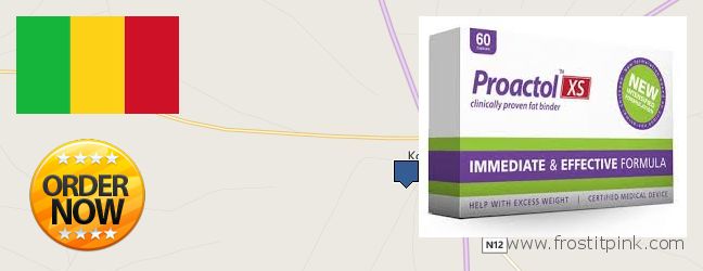 Where to Buy Proactol Plus online Koutiala, Mali
