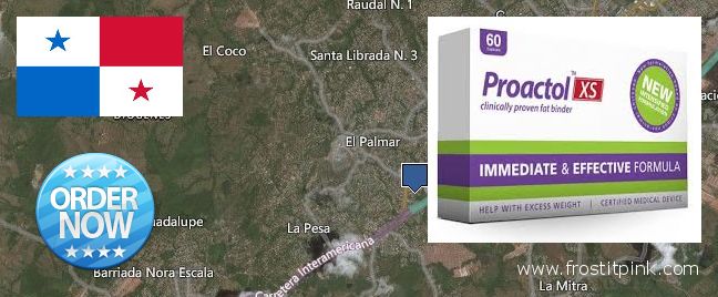 Where to Buy Proactol Plus online La Chorrera, Panama