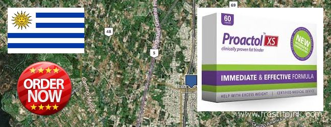 Where to Purchase Proactol Plus online Las Piedras, Uruguay