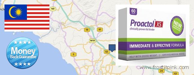 Where to Buy Proactol Plus online Malacca, Malaysia