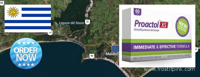 Where Can You Buy Proactol Plus online Maldonado, Uruguay