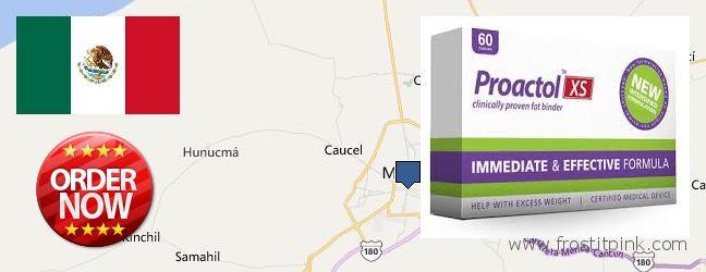 Where to Buy Proactol Plus online Merida, Mexico