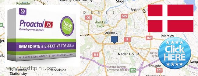 Best Place to Buy Proactol Plus online Odense, Denmark