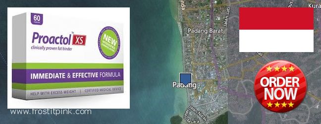 Where to Buy Proactol Plus online Padang, Indonesia