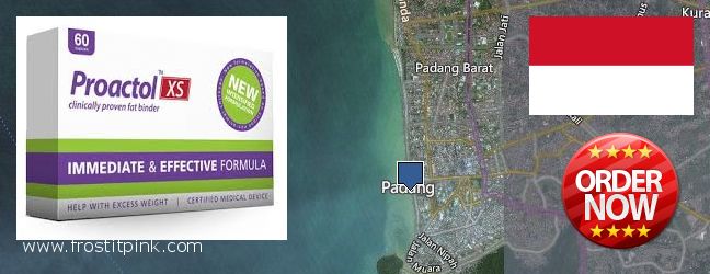 Purchase Proactol Plus online Padang, Indonesia Where Can You Buy Proactol Plus online Padang, Indonesia