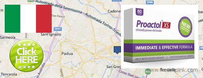 Where to Purchase Proactol Plus online Padova, Italy