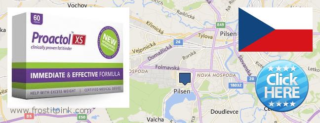 Where Can I Buy Proactol Plus online Pilsen, Czech Republic