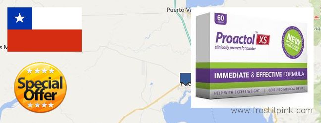 Where to Buy Proactol Plus online Puerto Montt, Chile