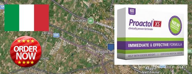 Where Can I Buy Proactol Plus online Reggio nell'Emilia, Italy