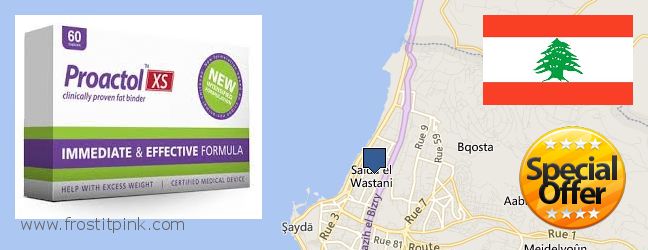 Where to Buy Proactol Plus online Sidon, Lebanon