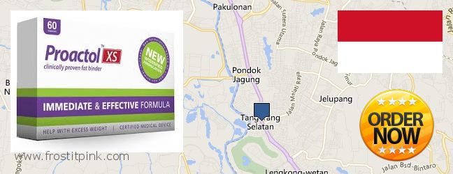 Where to Buy Proactol Plus online South Tangerang, Indonesia