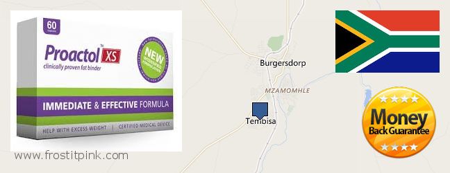 Where to Purchase Proactol Plus online Tembisa, South Africa