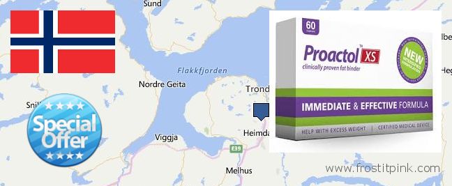 Where Can You Buy Proactol Plus online Trondheim, Norway