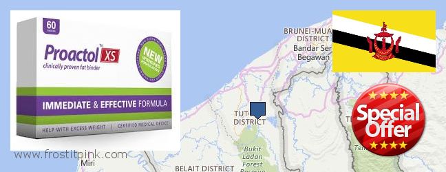 Where Can I Purchase Proactol Plus online Tutong, Brunei
