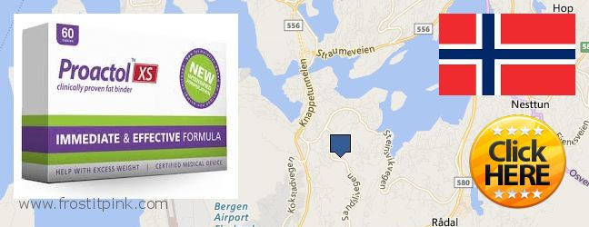 Where to Buy Proactol Plus online Ytrebygda, Norway